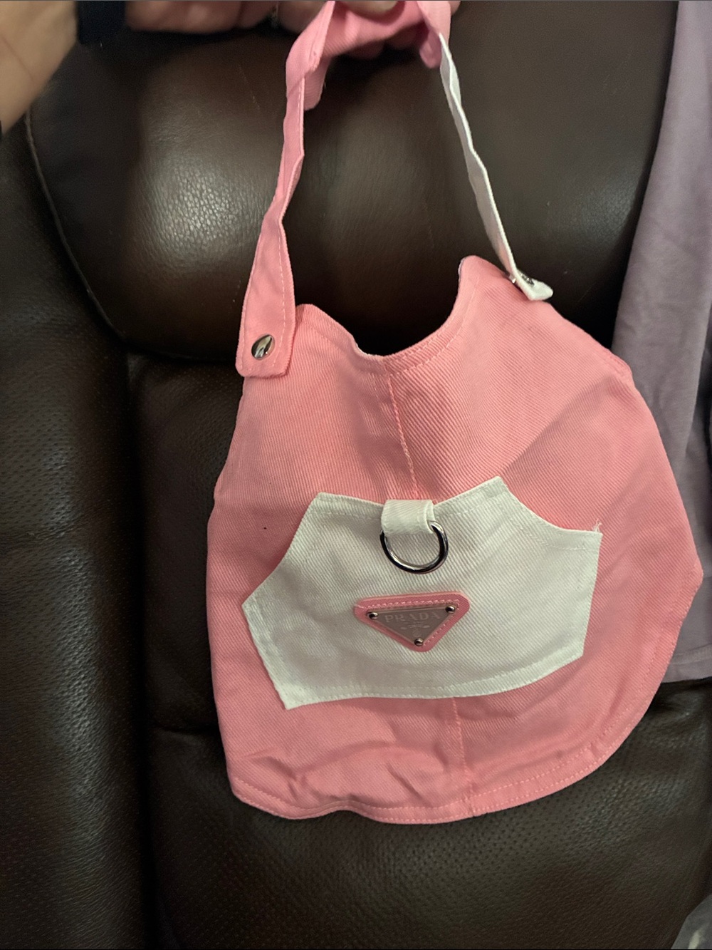 High fashion pet clothing
